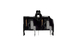 Vestax 2P-RCA T08